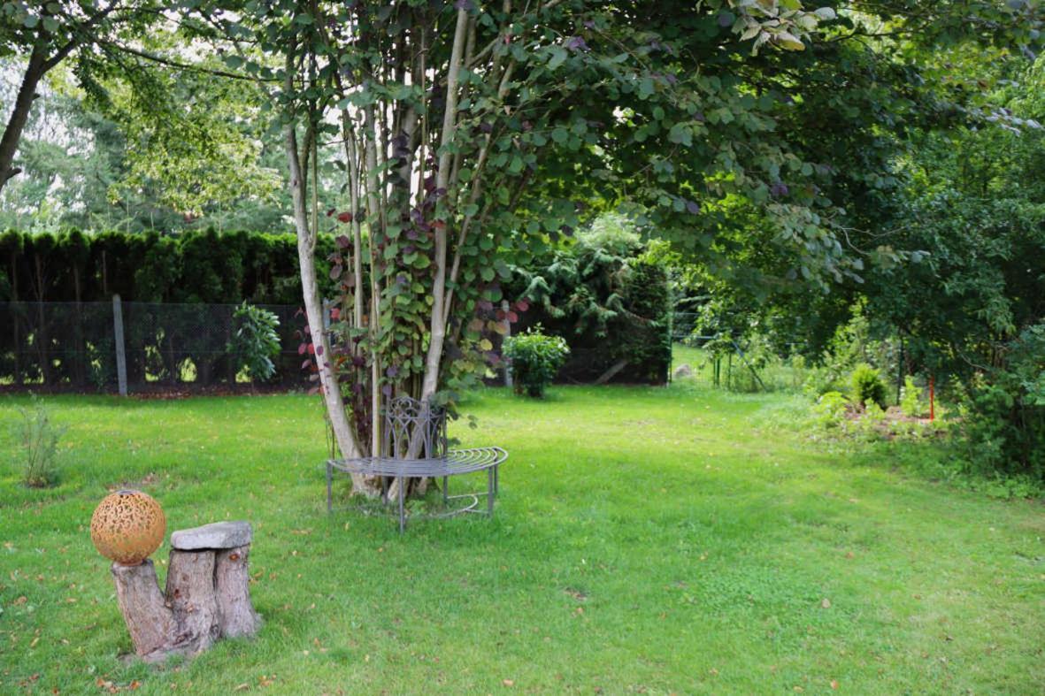 Ferienhaus an der Wiese Luhmannsdorf Exterior foto